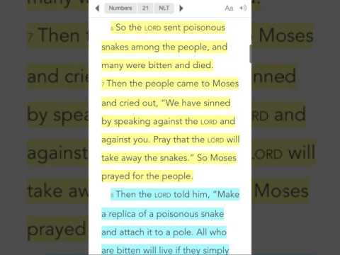 Jesus and the Snake on a Pole | John 3:14-15