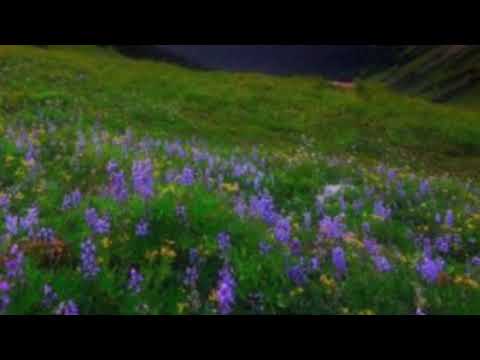 Scripture Memory Song Psalm 30:11-12 NIV