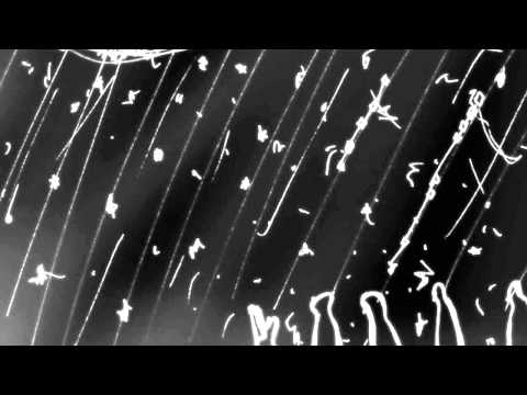 Mark 13:24-37 Commentary by Dr. Tom Boomershine