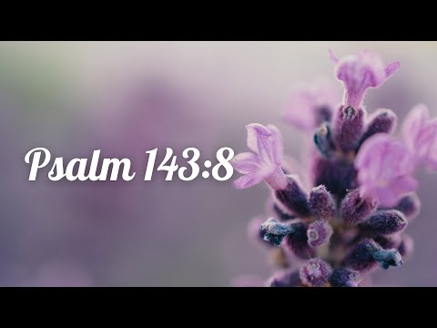 Psalm 143:8 (Let Me Hear Your Lovingkindness in the Morning)