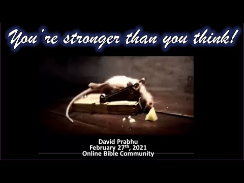 You're Doing Better Than You Think! | 2 Chronicles 4:11-17 | Zoom Bible Study