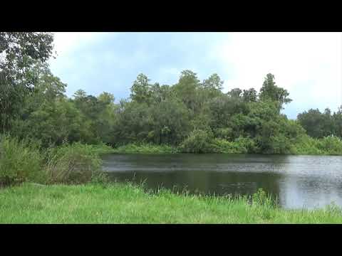 Psalm 105:1-6,37-45 Prayer