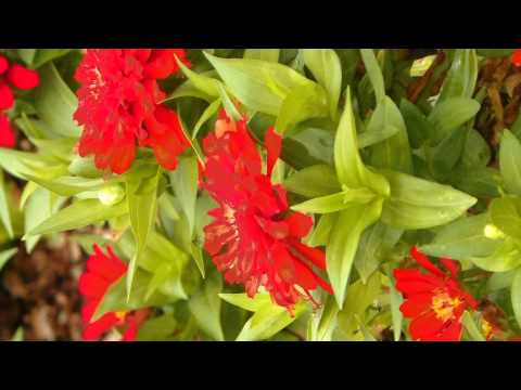 Pastor Mack A Harris Jr[John 21:3]Why Go Back?April 27, 2012