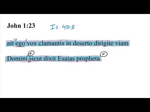 John 1:23