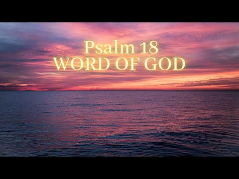 Daily Word Of God / Psalm 18: 16-30 #bible