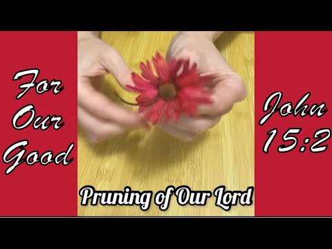 God’s Pruning????John 15:2 Always for our Good! Faith Over Fear with Audra
