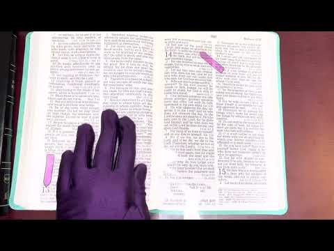 8/11/22, Psalm 26, Ecclesiastes 11, Romans 13:1-14, Job 17:1-18:21 Old & New Testament Readings