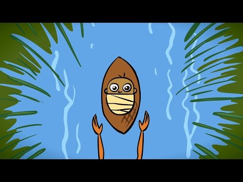The Child Moses (Exodus 2:1-10 KJV) | Bible Cartoons for Children