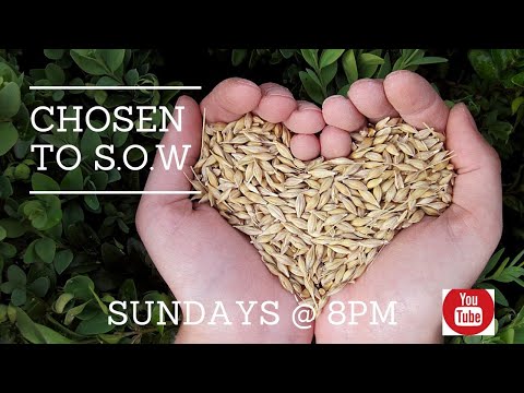 Chosen to Sow Book Study Review Ecclesiastes 5:8-20