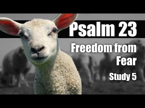 05 Psalm 23:2 Freedom from Fear