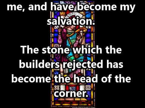 Palm Sunday Reading: Psalm 118:19-29 (WEB)