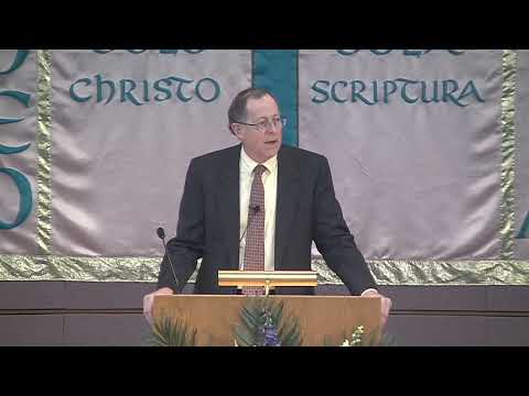 Genesis 6:8-7:9, Have You Found Favor with God?