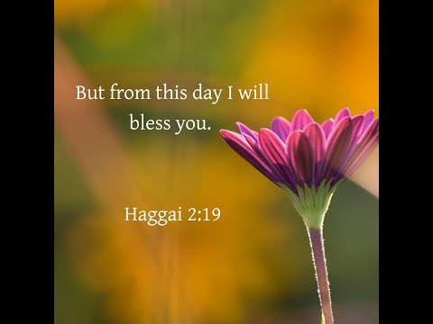 FGPC USA Online Service - Haggai 2:19 - Bro.Joseph Dixon -Aug 29th,2021