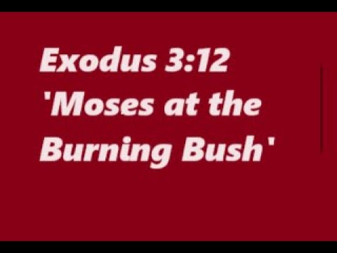 117 Scripture Verses- 6th Reading: Exodus 3:12