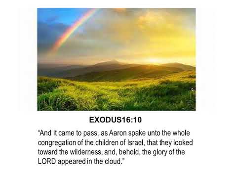Prophetic Word: Exodus  16:10