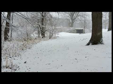 Coffee Break (5 minutes with God) James 3:7-9