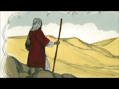 Fang - Luke 10:25-37 “The Good Samaritan” [fan]