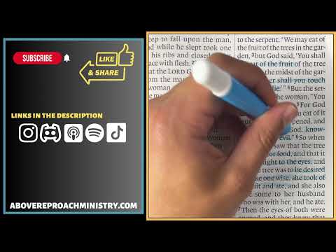 Day 36: Applying the Bible In The Law | Genesis 3:1-13