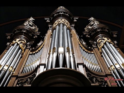 Piet Kooistra-Psalm 77:7 (Martin Mans) Martinuskerk Ferwert