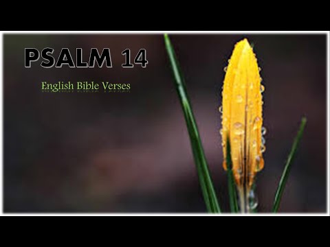 Psalm 14 : 1-7 ,  English Bible Verses