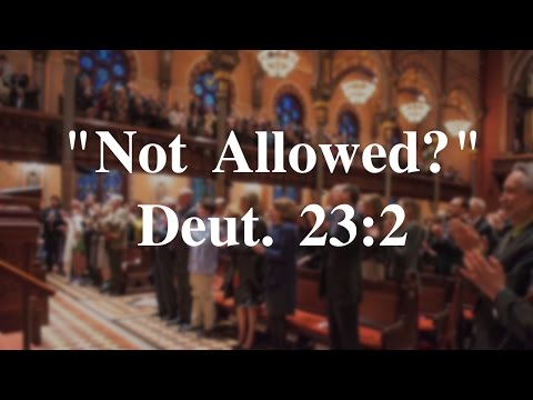 Not Allow? Looking at Deut. 23:2