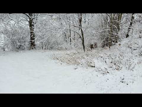 Coffee Break (5 minutes with God) Jonah 1:1-3