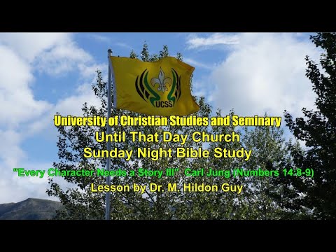 "Every Character Needs a Story III"  Carl Jung (Numbers 14:8-9)