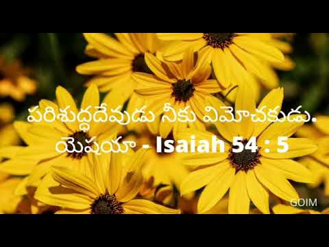Memory Verse from BIBLE   -  యెషయా -  Isaiah 54 : 5
