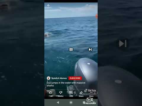 Therefore they fear not God. Psalm 55:19