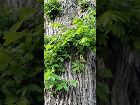 Stand firm, and you will win life ( Luke 21:19 )