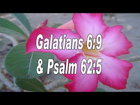 Scripture song Galatians 6:9 and Psalm 62:5 let us not be weary in well doing