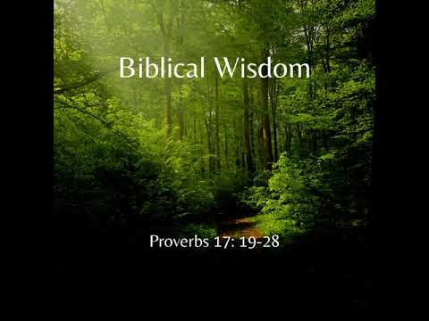 God's Promises - Proverbs 17: 19-28