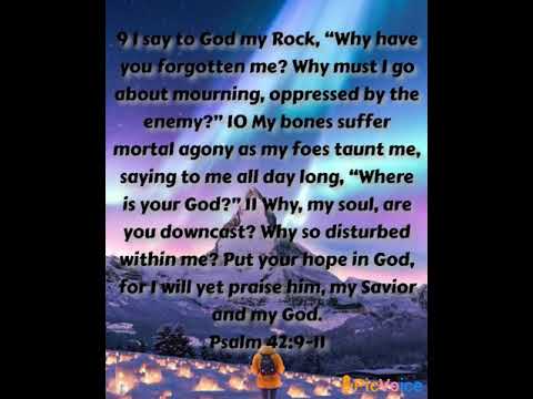 Devotion Daily Bible Verse  Psalm 42:9-11