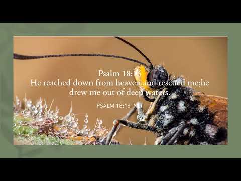 You Rescue The Humble Psalm 18:27.