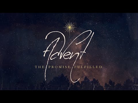 The Shepherds Response // Luke 2:8-20