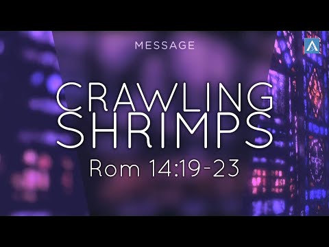 ALF English Church Online | Mathews John | Crawling Shrimps (Romans 14:19-23)