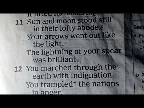 Habakkuk 3:1-"{4-6}"-"{9-14}"= they were Overjoyed to devour and Afflicted one in secret