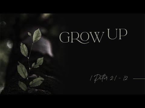 Grow Up // 1 Peter 2:1-12