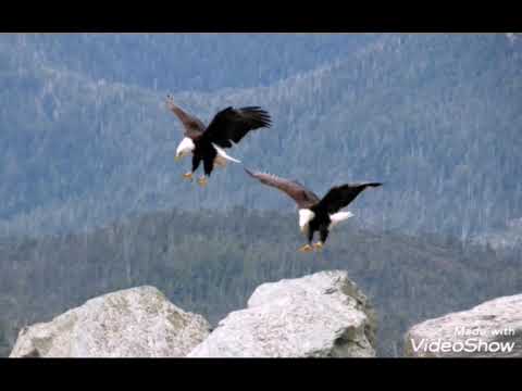 1Corinthians 14:26-32; 1Corinthians 14:28; 1Corinthians 14:7.