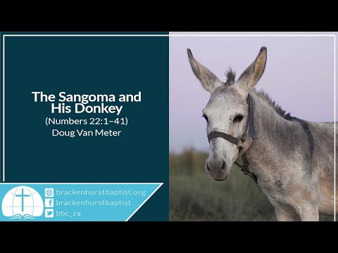 The Sangoma and His Donkey (Numbers 22:1–41)