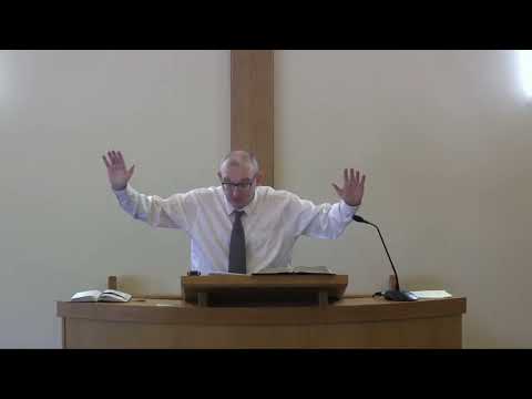 Cosmic Praise for God the Saviour (Psalm 69:34-36)