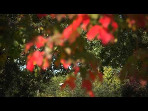 FLBC Daily Devotion Proverbs 28:5