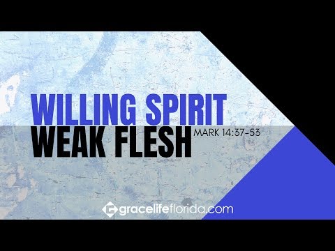 Willing Spirit, Weak Flesh | Mark 14:37-53
