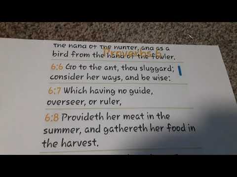 Proverbs 6:6-10