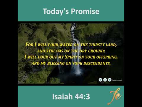 Today's Promise (Isaiah 44:3) English