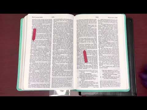 12/20/22, Psalm 146, Proverbs 20, Revelation 14:1-20, Malachi 1:1-2:17 Old & New Testament Readings