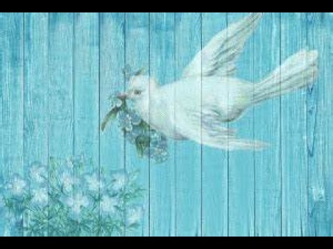 "A Marriage Problem"  11/6/2022.  Rev Dan Fowler. Luke 20:27-39.