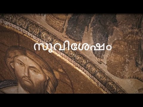 Nov 27, 2020 / Luke 19:45-48 / Today's Catholic Bible Reading & Gospel Reflection / ശരീരം ദേവാലയം