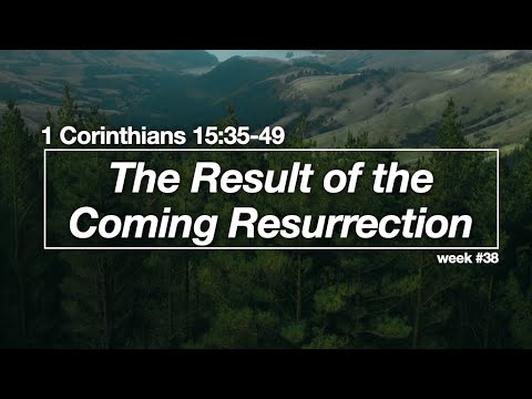 The Result of The Coming Resurrection - 1 Corinthians 15:20-28