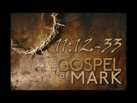 Mark 11:12-33 Bible Study - Calvary Chapel Deerfield Beach